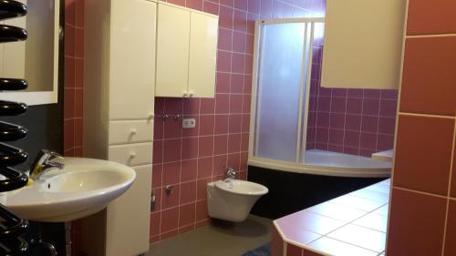 a bathroom with a sink and a toilet at Apartments with a parking space Zagreb - 15343 in Brezovica