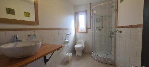 a bathroom with a sink and a shower and a toilet at Posada Paso Mayer in Villa O'Higgins