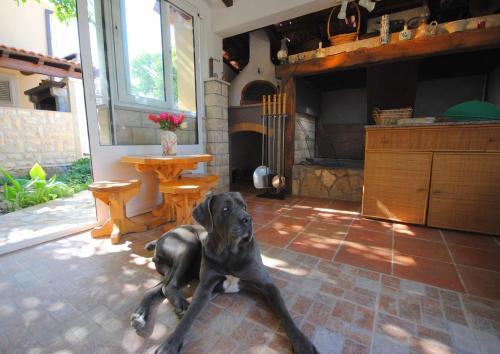 House Maria – Photos 2