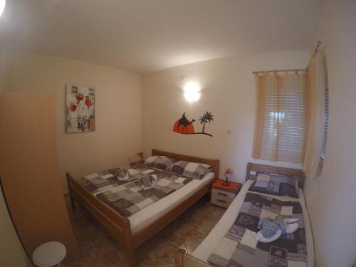 Apartments with parking space Biograd na Moru, Biograd - 15472