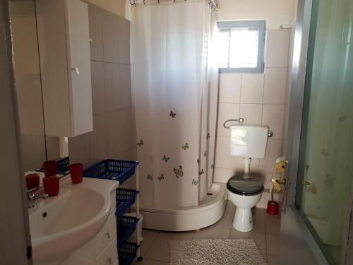 La salle de bains est pourvue de toilettes, d'un lavabo et d'une douche. dans l'établissement Apartments by the sea Nin, Zadar - 15513, à Nin
