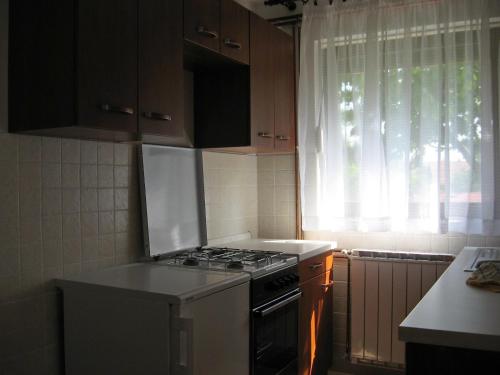 Kuchyň nebo kuchyňský kout v ubytování Apartments with a parking space Delnice, Gorski kotar - 15589