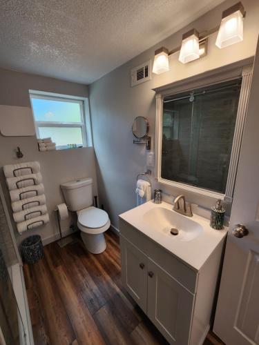La salle de bains est pourvue d'un lavabo blanc et de toilettes. dans l'établissement Cozy Hideaway in the Duck Pond area of Gainesville, à Gainesville