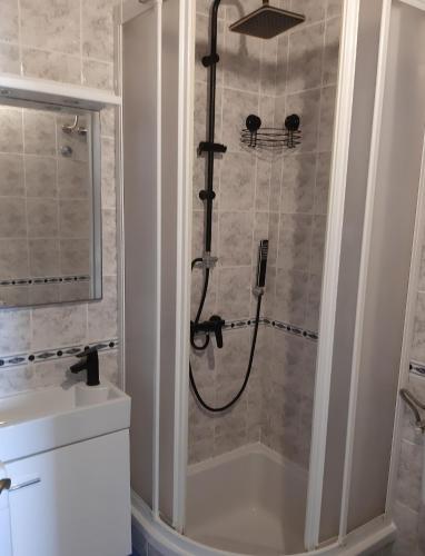 a bathroom with a shower and a sink at Apartments by the sea Gradac, Makarska - 15642 in Gradac