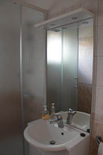 a bathroom with a sink and a shower with a mirror at Apartments with parking space Brodarica, Sibenik - 15708 in Ražine