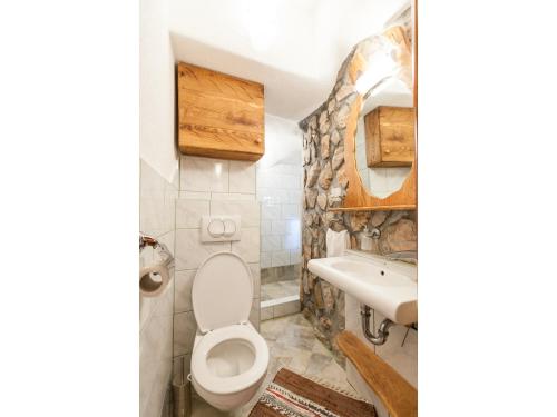 a bathroom with a toilet and a sink at Apartments with WiFi Vrbnik, Krk - 15721 in Vrbnik