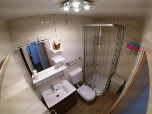 ein Bad mit einer Dusche, einem WC und einem Waschbecken in der Unterkunft Apartments by the sea Brna, Korcula - 15730 in Smokvica