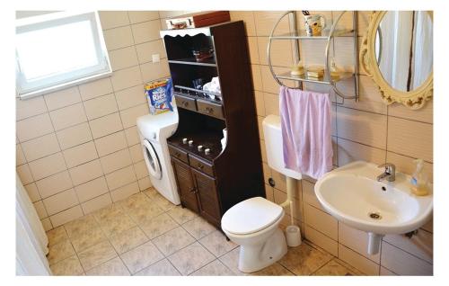 ein Badezimmer mit einem WC, einem Waschbecken und einem Spiegel in der Unterkunft Family friendly house with a swimming pool Posedarje, Novigrad - 15785 in Islam Latinski