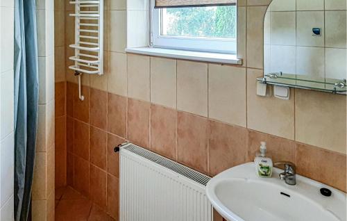 a bathroom with a sink and a mirror at Gorgeous Home In Postomino With Wifi in Postomino