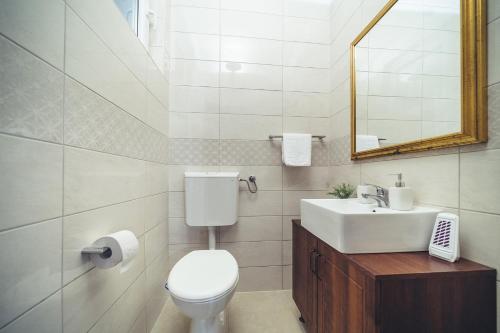 a bathroom with a toilet and a sink and a mirror at Apartments with a parking space Imotski, Zagora - 16072 in Imotski
