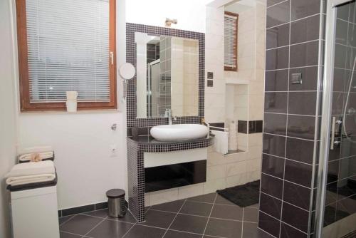 y baño con lavabo y ducha con espejo. en Apartments with WiFi Zagreb - 16085, en Zagreb