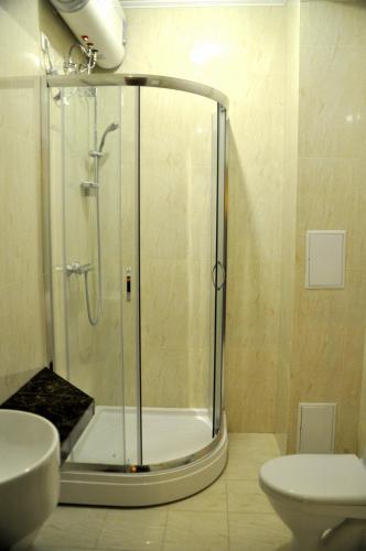 a bathroom with a shower with a sink and a toilet at Hotel Classic in Kyiv