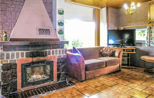 a living room with a couch and a fireplace at Pet Friendly Home In Maszewo With Wifi in Maszewo