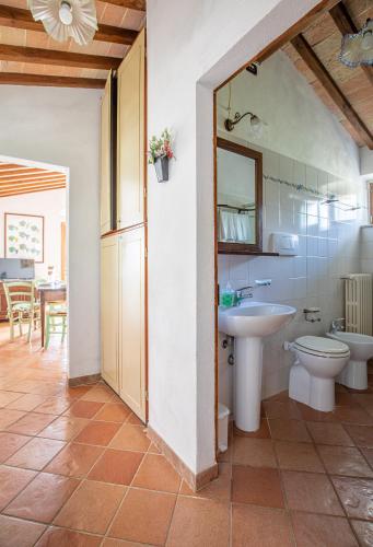 a bathroom with a sink and a toilet at Fontemaggio in Colle di Val d'Elsa