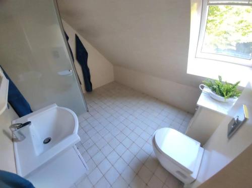 a white bathroom with a toilet and a sink at The parrot hotel, live in a rescue animal park in Næstved