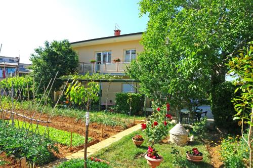 Apartments with WiFi Pula - 15813