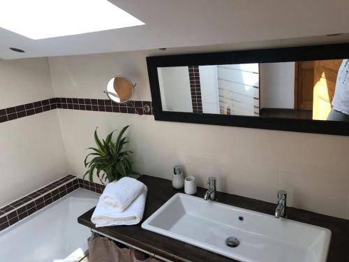 a bathroom with a white sink and a mirror at COEUR de GOUDARGUES! Gîte 2 ou 3 pers , Extérieur, Clim in Goudargues