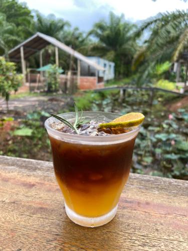 a drink sitting on top of a wooden table at Forest Guesthouse in Ban Don Muang