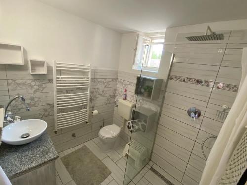 a bathroom with a shower and a toilet and a sink at Árpád nyaralóház in Sarud