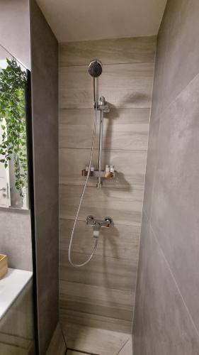 a shower with a shower head in a bathroom at RetFala Inn in Osijek