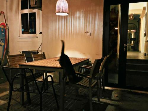 Fotografie z fotogalerie ubytování Boutique Apartments Possonium v destinaci Bratislava