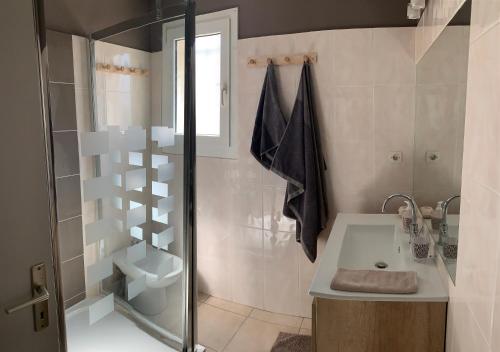 La salle de bains est pourvue d'une douche et d'un lavabo. dans l'établissement Maison standing, à Muret
