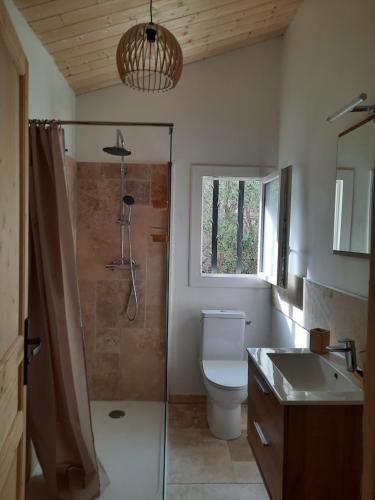 a bathroom with a shower and a toilet and a sink at Studio 40 m 2 près St Guilhem le désert et rivière in La Boissière