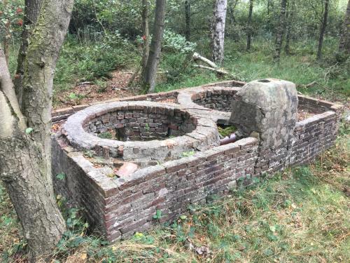 a brick fire pit in the middle of a forest at WijkD in Leende