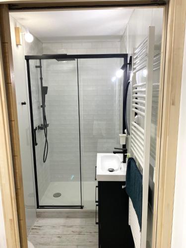 une salle de bain avec douche et lavabo dans l'établissement Charmant appartement rénové 4 couchages Arcachon centre, à Arcachon