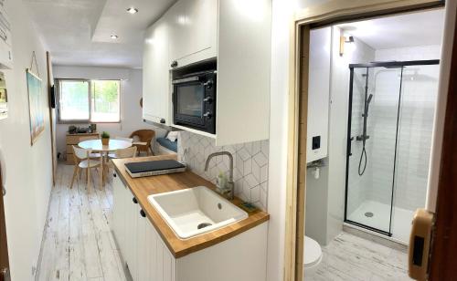 un piccolo bagno con lavandino e doccia di Charmant appartement rénové 4 couchages Arcachon centre ad Arcachon