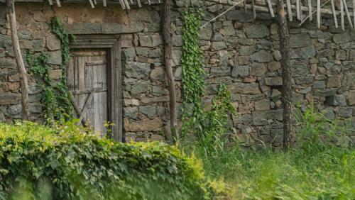 an old stone building with a door and ivy at Amaya Life Kasauli in Kasauli