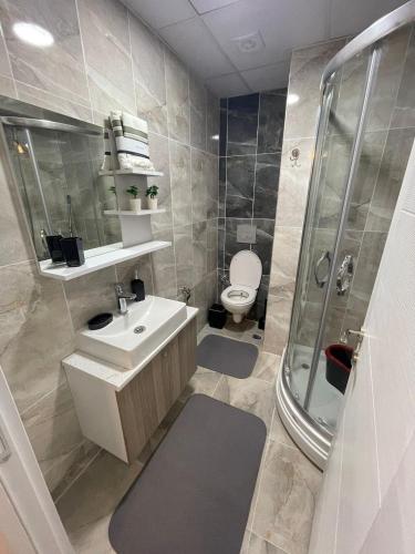 Koupelna v ubytování 1-bedroom, nearby services, park, free wifi, free parking - N0