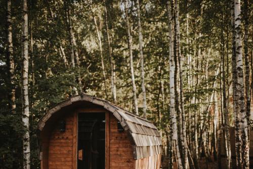 a small cabin in the middle of a forest of trees at Jurty z widokiem, prywatna balia- DZIKOLAS GLAMPING in Krasnobród