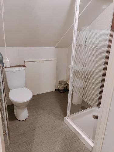a small bathroom with a toilet and a shower at Pentre Cottage near Craig y Nos in Pen-y-cae
