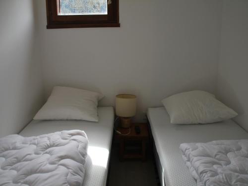 2 łóżka pojedyncze w pokoju z oknem w obiekcie Studio Châtel, 1 pièce, 3 personnes - FR-1-200-353 w mieście Châtel