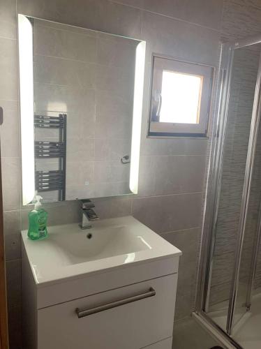 a bathroom with a sink and a mirror and a shower at Cheerful Cozy Cabin in Countryside in Limerick