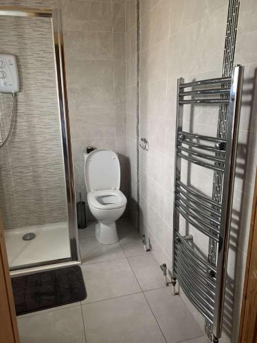 a small bathroom with a toilet and a shower at Cheerful Cozy Cabin in Countryside in Limerick