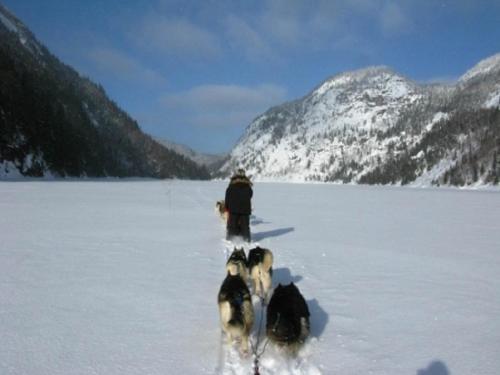 a man and three dogs walking in the snow at Chalets Condos sur le Fjord in LʼAnse-Saint-Jean