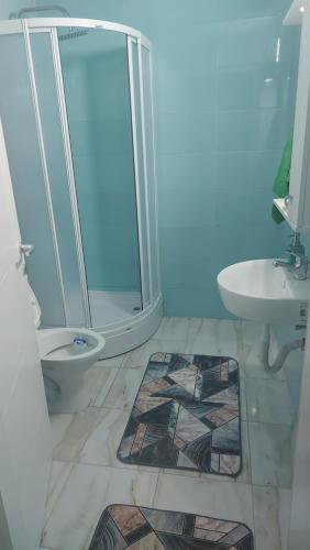 ein Bad mit einer Dusche, einem WC und einem Waschbecken in der Unterkunft APARTMENT ANA v-Peshtani in Ohrid