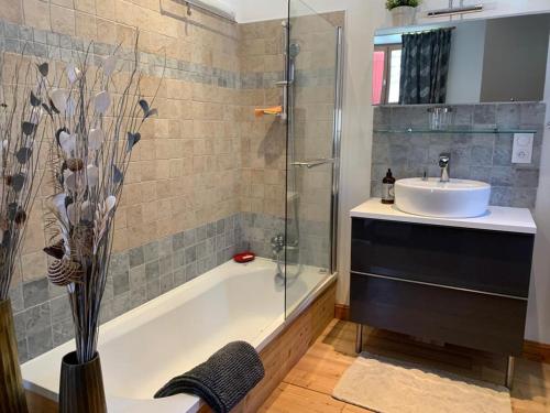 a bathroom with a shower and a sink and a tub at Magnifique appartement 8 couchages dans villa historique in Jausiers