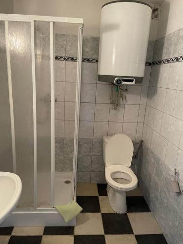 a bathroom with a shower and a toilet and a sink at Penzion Na Srubech in Hora Svaté Kateřiny