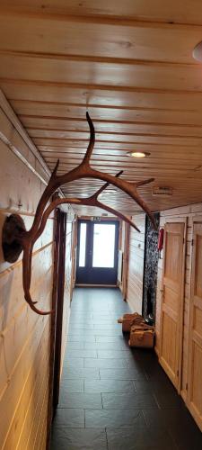 a hallway with a tree branch on the wall at Chalet Päämaja Rovaniemi in Rovaniemi