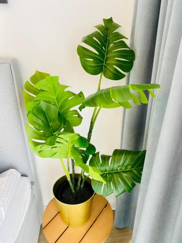 a plant in a yellow pot on a wooden stand at HO!HOUSE SHELLTER ROGOWO in Rogowo