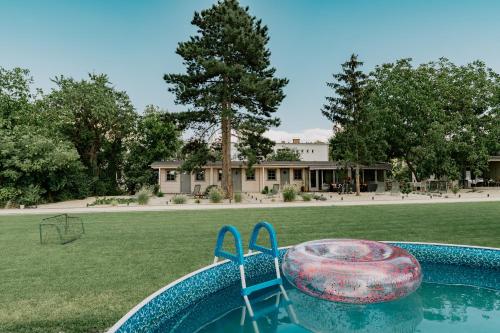 a swimming pool with a ball in the grass at Zam-zam apartman in Zamárdi