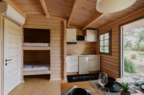 a kitchen in a tiny house with wooden walls at Zam-zam apartmanok in Zamárdi