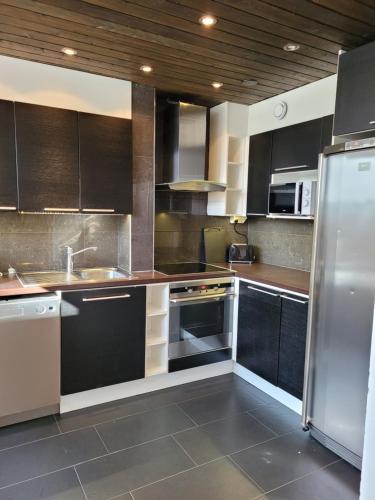 a kitchen with stainless steel appliances and black cabinets at Chalet Päämaja Rovaniemi in Rovaniemi