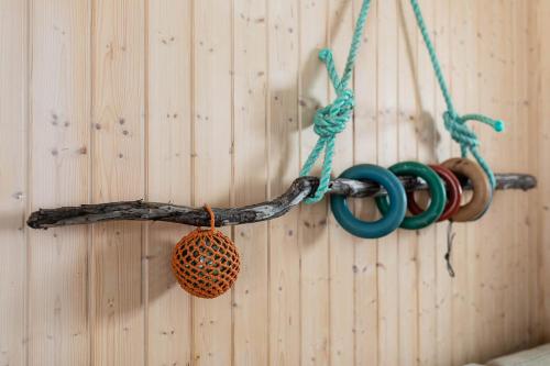 a wall with a branch and scissors hanging on a wall at Eliassen Rorbuer in Reine
