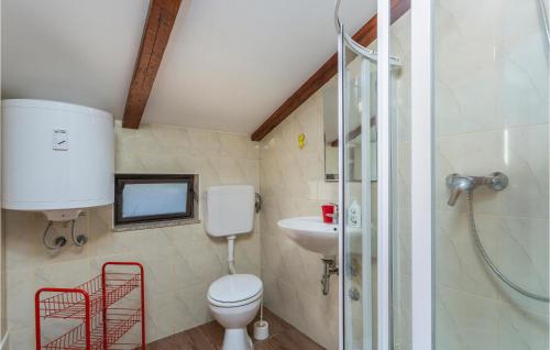 La salle de bains est pourvue de toilettes, d'un lavabo et d'une douche. dans l'établissement Nice Apartment In Njivice With Wifi, à Njivice