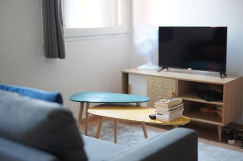 ein Wohnzimmer mit einem Sofa und einem TV in der Unterkunft Petit appartement cosy à Troyes in Troyes