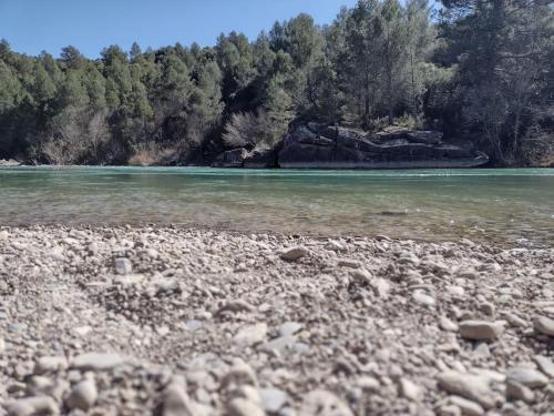 a rocky shore of a river with trees in the background at El Desván del Campanero apartamento con jardín in Murillo de Gállego